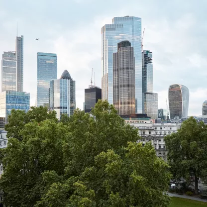 Looking over trees towards the London skyline